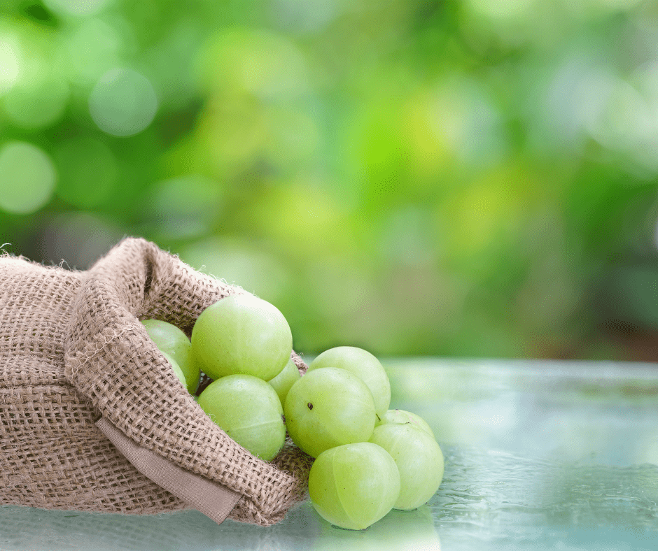 Amla Super fruit (Indian Gooseberry)               5 Amazing Health Benefits Of