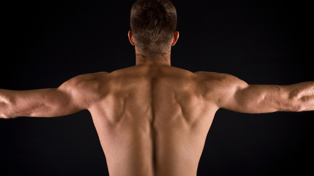 The 5 Best Back Exercises for Beginners